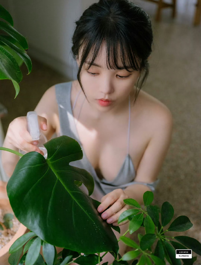 旋回式破碎机